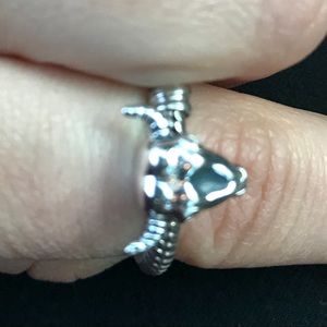 Pandora charm